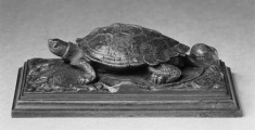 Turtle on a Base Strewn with Leaves and a Shell