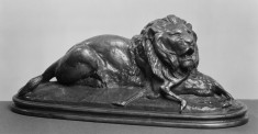 Lion Devouring an Antelope