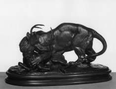 Tiger Attacking Stag
