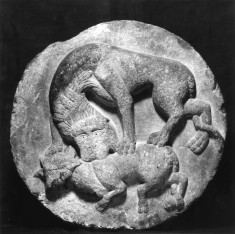 Lion Attacking a Bull