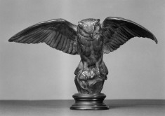 Owl with Mouse