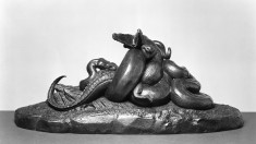 Python Killing a Crocodile