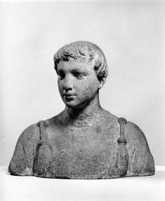Bust of a Young Man