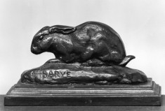 Rabbit with Ears Down