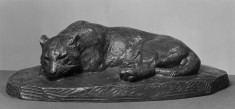 Sleeping Jaguar