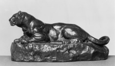 Panther of Tunis
