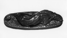 Sleeping Greyhound