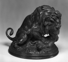 Lion Devouring a Boar