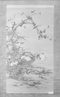 Birds Amid Flowering Plants
