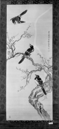 Three Birds and a Flowering Plum Tree