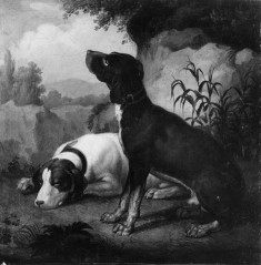 Two Bird Dogs in a Landscape