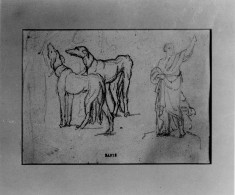 Two greyhounds,man in classical dress(a)