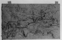 Rough sketch of landscape w/ old tree