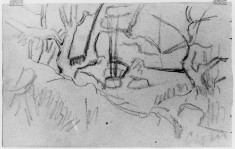 Landscape with rocks and trees (a)
