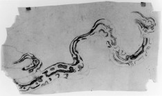 Tracing of study of serpent's skin