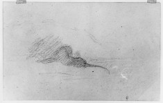 Rough sketch of lion - landscape