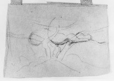 Tracing of landscape: rough