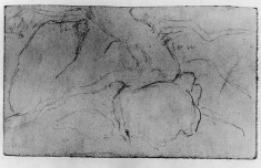 Sketch of rocks (a)