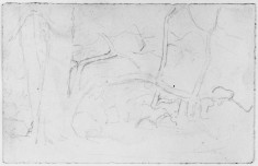 Sketch of a tree