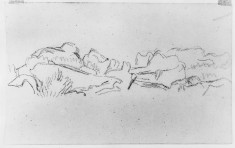 Sketch of landscape