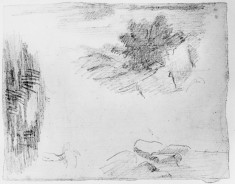 Sketch of trees and rocks