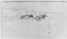 Sketch of cows in landscape