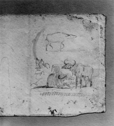 Various sketches of bears, tigers...(a)