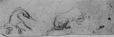 Two studies of a horse