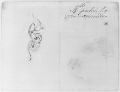Study of a snake;three studies of snakes