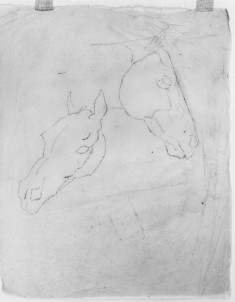 Tracing of 2 sketches of horses heads