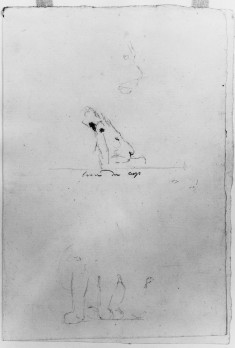 Sketches of lion's head & feet, (a)