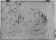 Studies of lions after rubens (a)