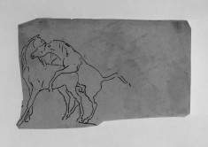 Tracing of a Sketch of Horses Mating