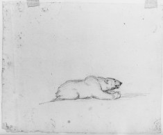Studies of tree trunks;crouching bear