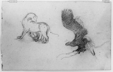 Drawing of a horse and an eagle