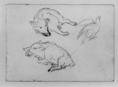 Sketch of wild boars & pheasants (a)