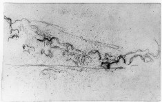 Study of landscape