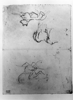 Studies of Dogs and a Man