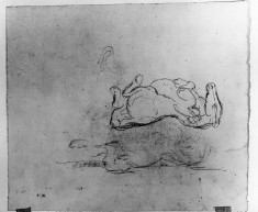 Studies of a Rolling Horse and Landscape
