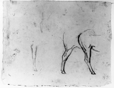 Studies of the rear of a horse