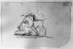 Man throwing a bull (a)