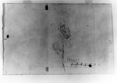 Study of a hand;measured draw.of horse