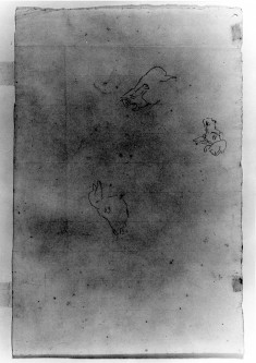 Studies of horse's head and chamois(a)