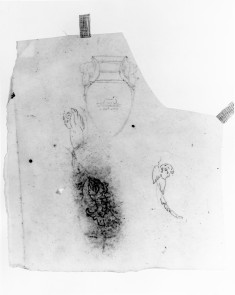 Tracing after picture of a vase