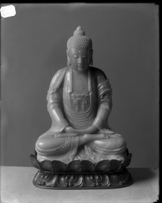 The seated buddha in posture meditation