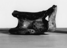 Top of Vase