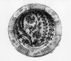 Dish