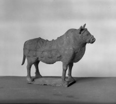 Ox