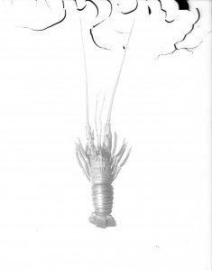 Spiny lobster with articulated joints