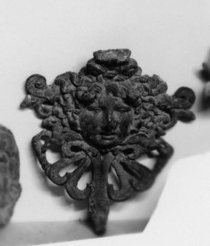 Head of the Medusa